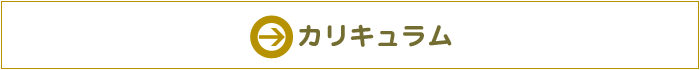 カリキュラム