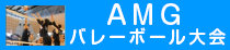 AMGバレーボール大会